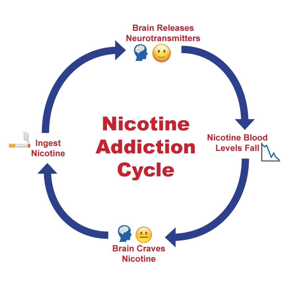 Nicotine addiction cycle